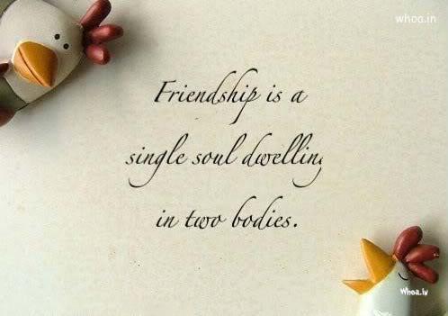Happy Friendship Day Quote HD Wallpaper