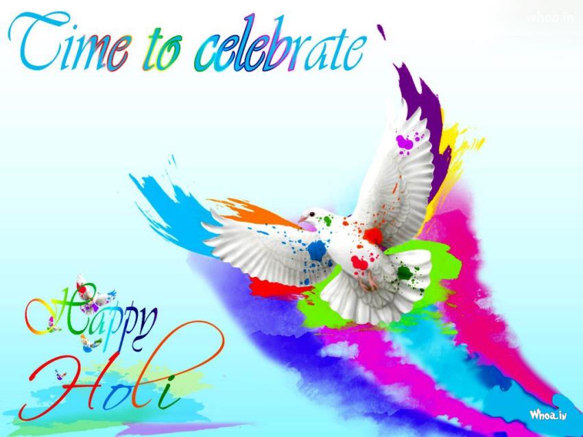 Colourful Pigeon Time To Celebrte Happy Holi Hd Wallpaper