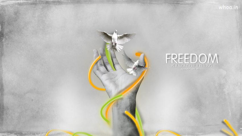 Freedom Is A Wonderful Feeling Black And White Wallpaper