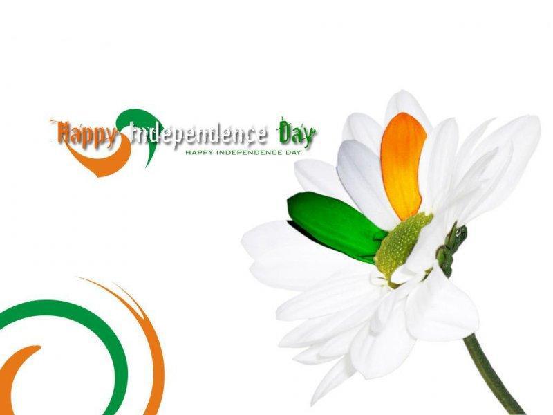 Happy Independence Day Flower Art Hd Wallpaper