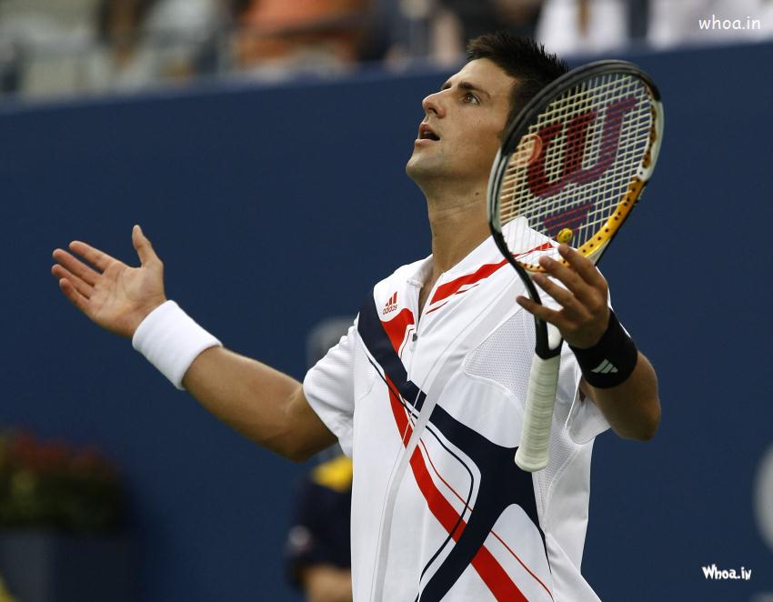 Novak Djokovic Celebrates Hd Wallpaper