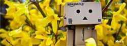 danbo robot fb cover with yellow flowers background