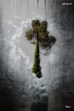 fine art image like a tree in a sky