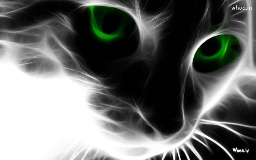 Abstract Illustration Art Face Of Cat