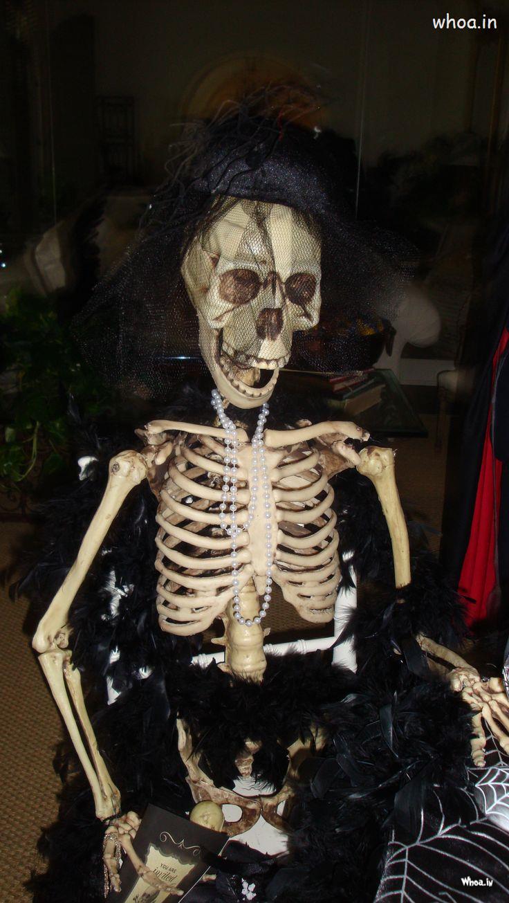 Halloween Sitting Skeleton