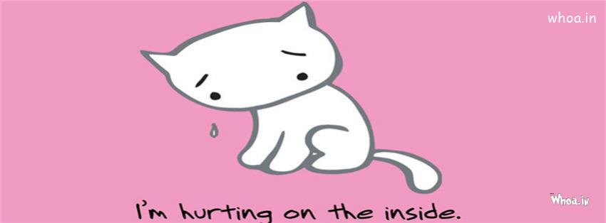 I Am Hurting On The Inside Quote Sad Fb Cover
