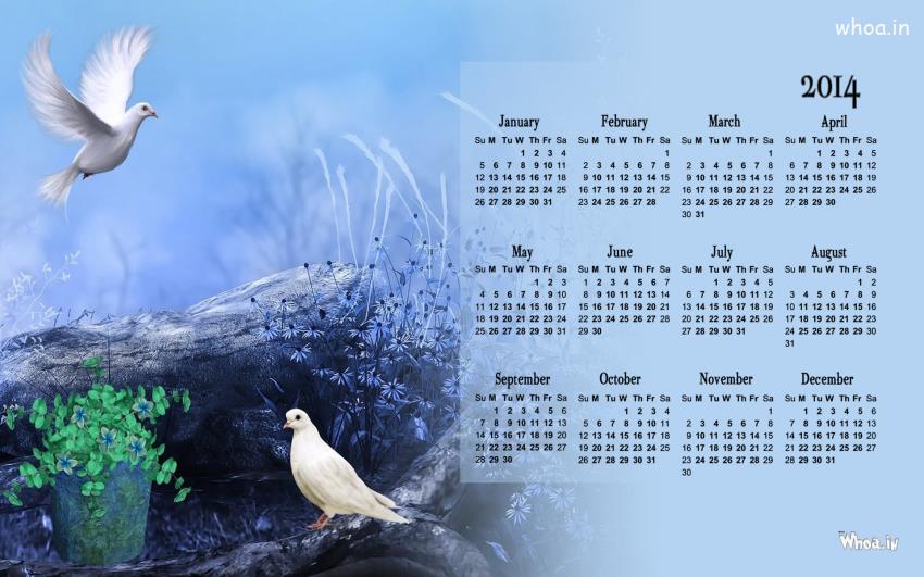 Calendar 2014 With White Pigeon Painting