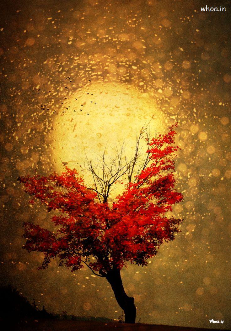 Full Moon With Red Tree