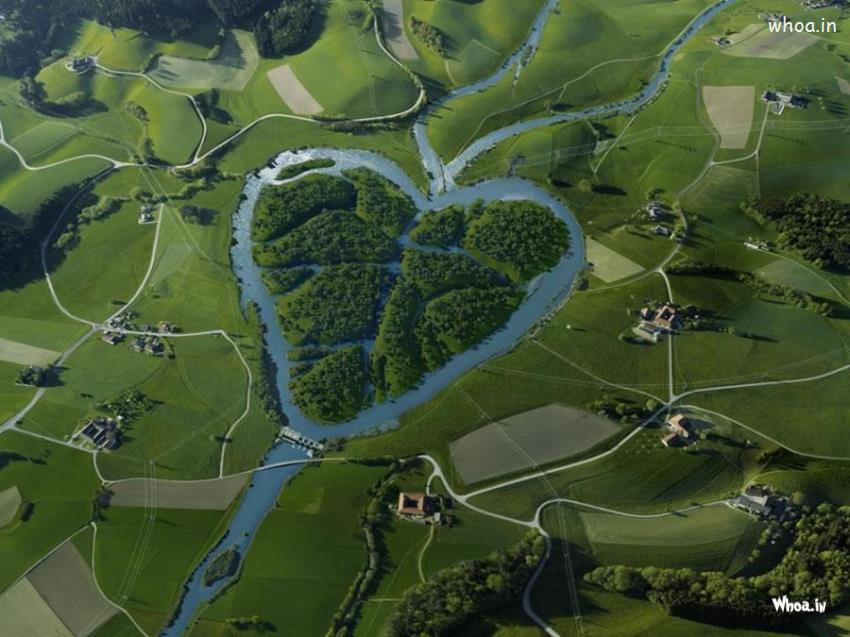 Natural Heart Criation Between A City
