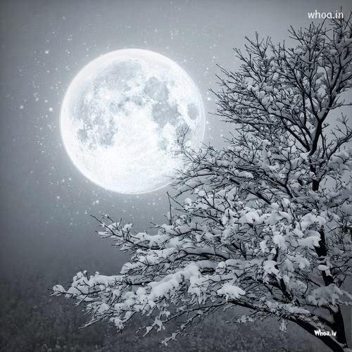 Snow Fall Night Moon Wallpaper