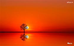 Beautiful Natural Sunrise with Orange Background HD Wallpaper 