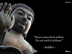 Lord Buddha Statue and Quote with Dark Background Wallpaper