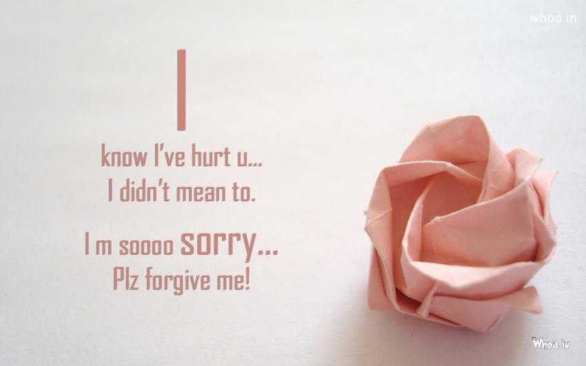 I'm Sorry Beautiful Quotes With White Background Wallpaper