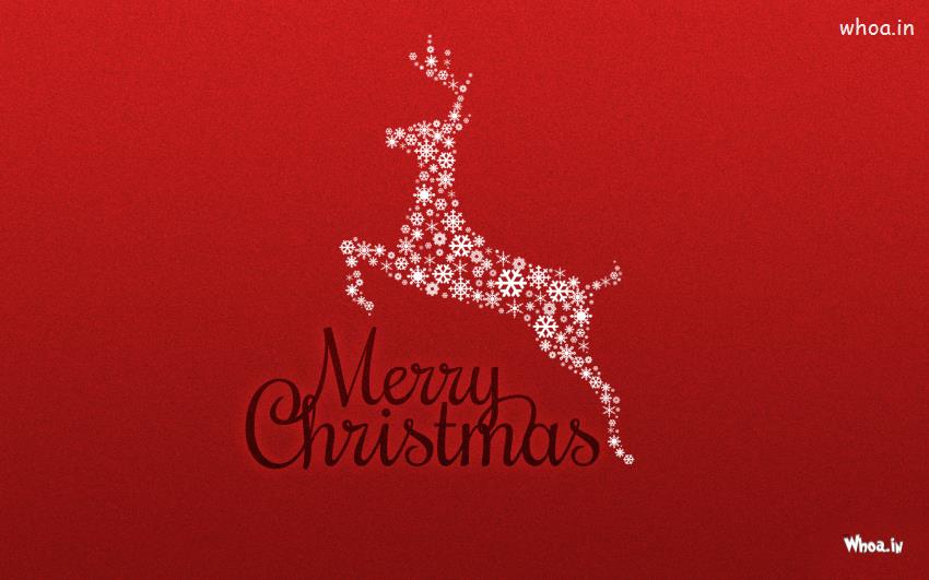 Merry Christmas Deer White Stars Red Xmas With Red Background HD Image
