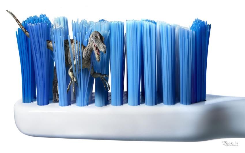 Dinosaurs In Tooth Brush Funny And Creative HD Wallpaper