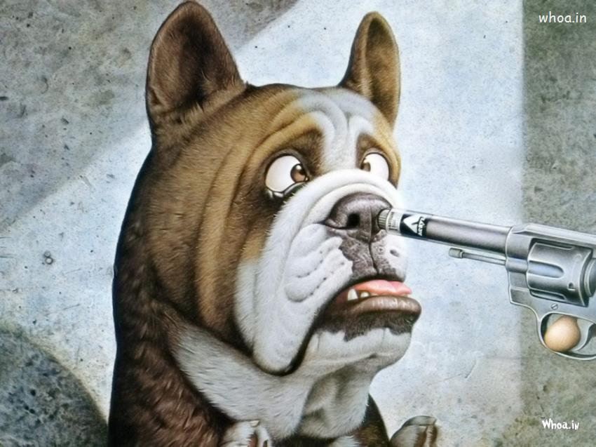 Dog Funny Expression In Front Of Pistol HD Funny Wallpaper