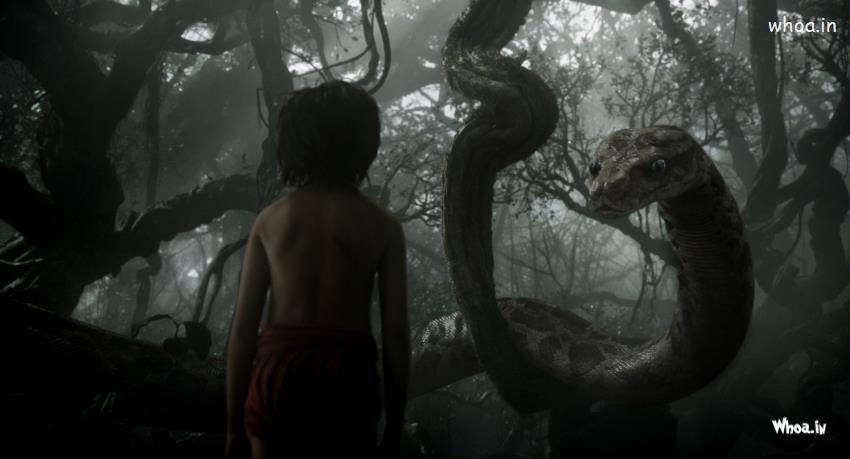 Little Boy See The Anaconda In The Jangle Book Movies HD Wallpaper