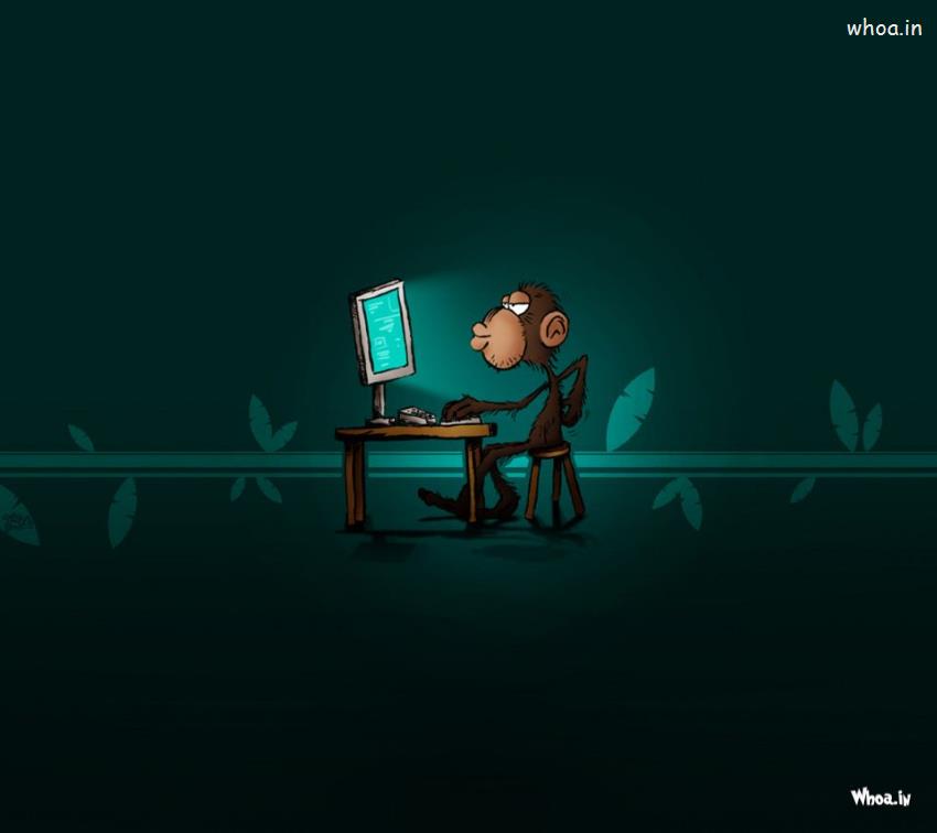 Monkey Use Computer Funny HD Wallpaper