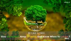 Tree Quotes and Thoughts With Pictures - QuotesLin