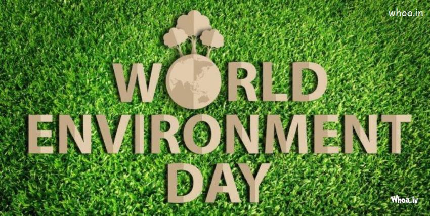 HD Image And Wallpaper Of The World Environment Day