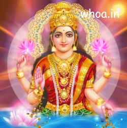 Latest Dhanteras Gifs - Get The Best GIF On GIPHY For Free 