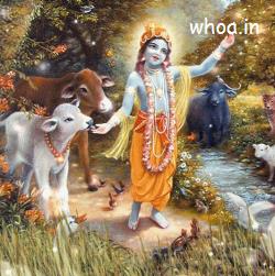 Krishna Gif Images Images, Graphics & Messages -D Animated G