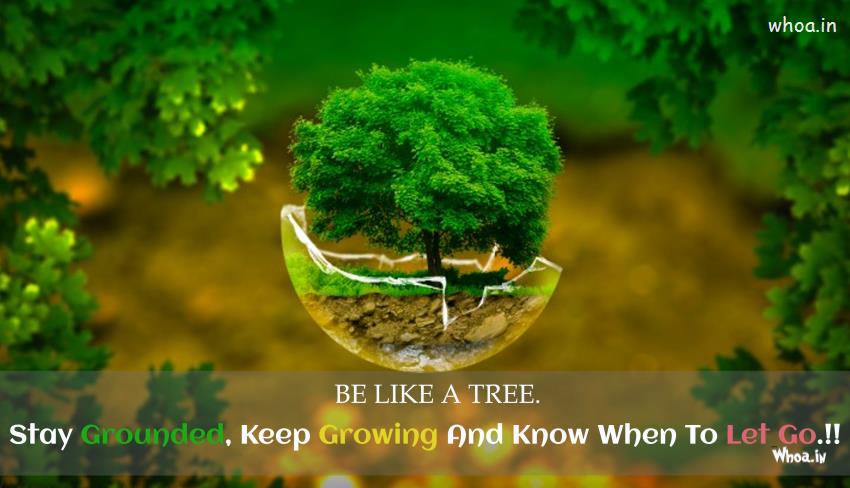 Tree Quotes And Thoughts With Pictures - Quoteslines 