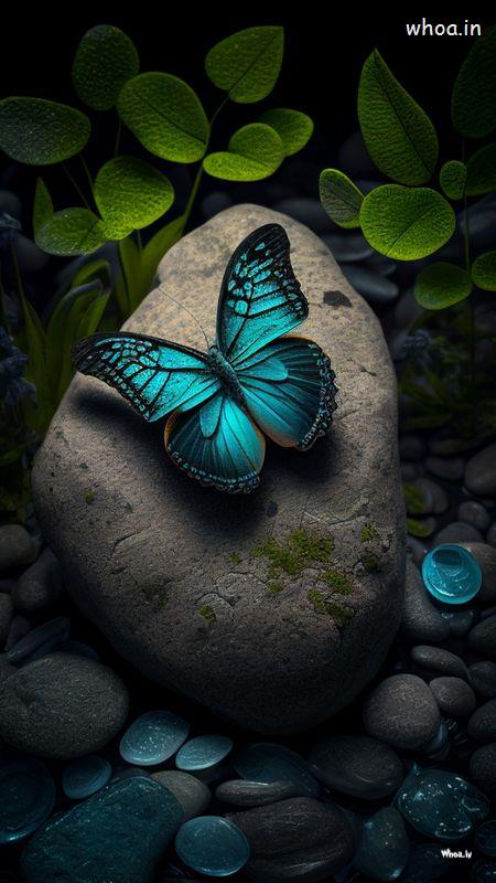 Neutral Wallpaper Moblie Butterfly Wallpaper Backgrounds Images 