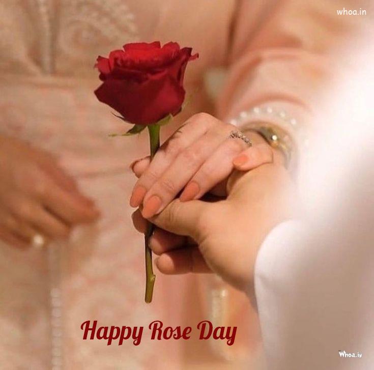 Best Couple With Best Rose Day Images , Rose Day Pic Gf Bf