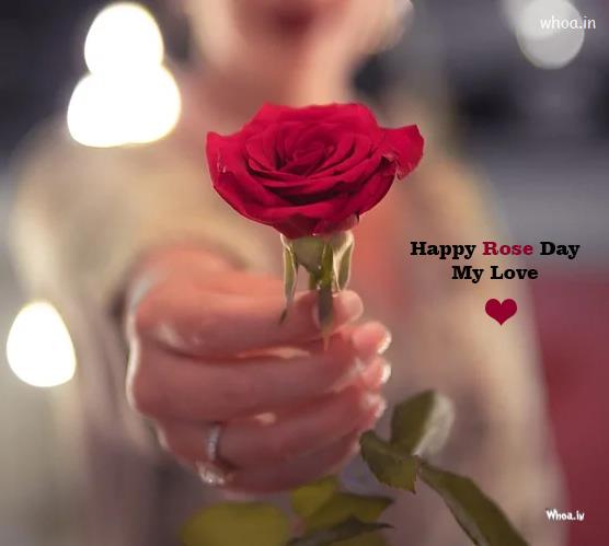 Best Rose Day Love Images , Beautiful Rose Wallpaper