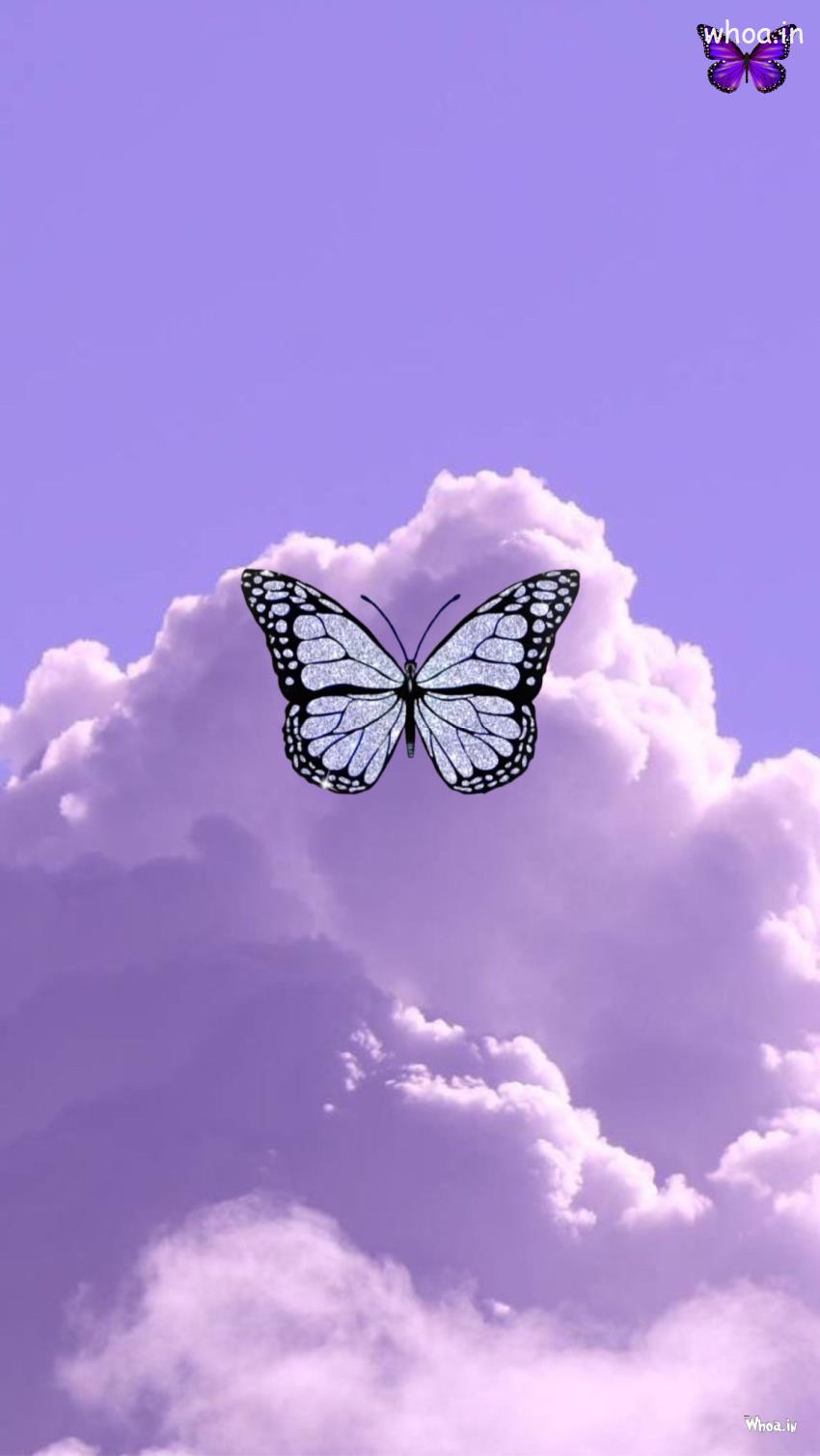 Butterfly Images , Butterfly Mobile Wallpaper Download