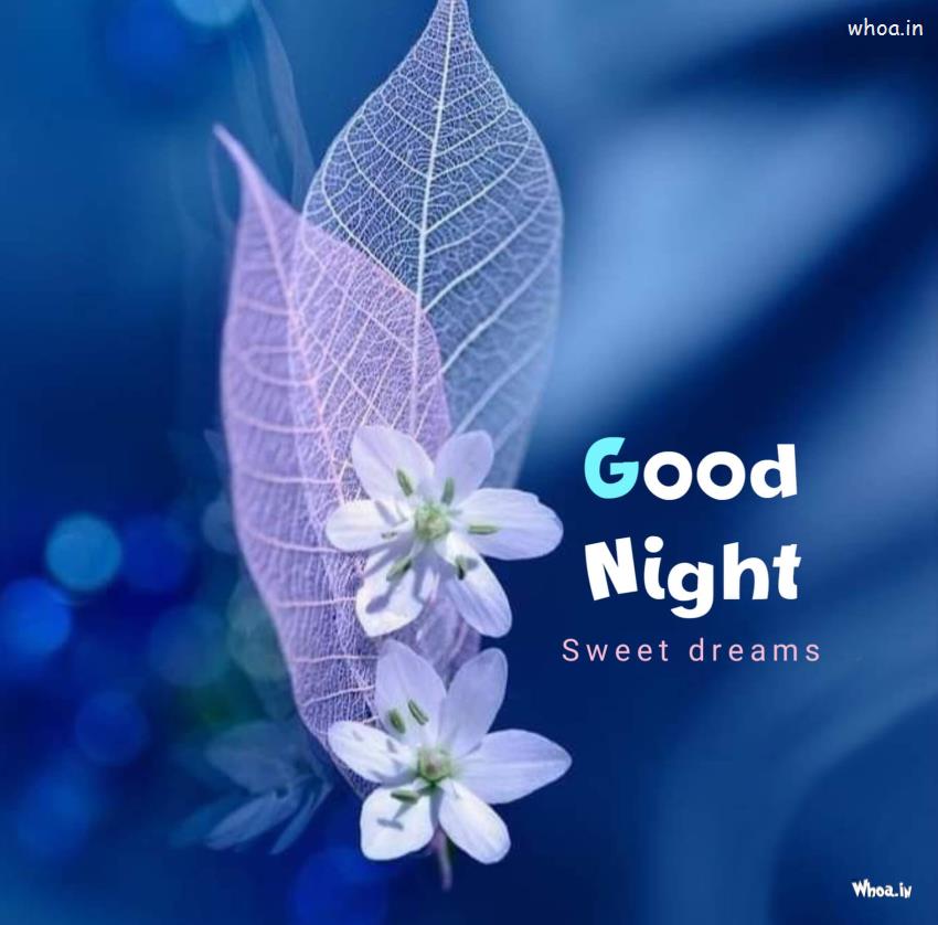 Good Night Wishes Images , Good Night Wallpaper HD