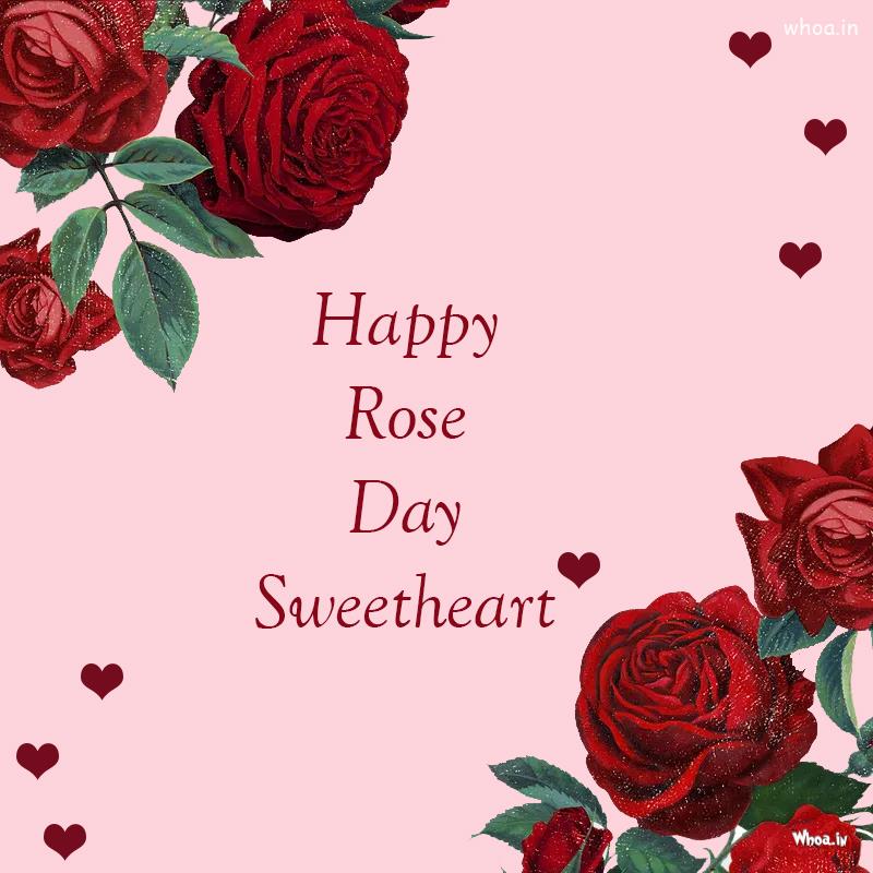 Happy Rose Day Pictures HD , Happy Rose Day 2023 Imgs