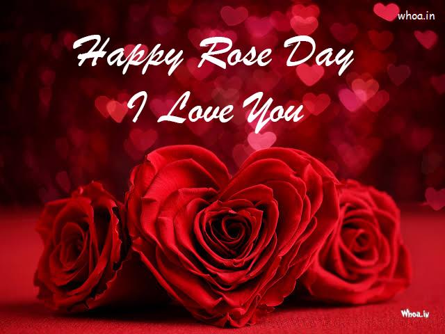 Happy Rose Day With I Love You Pictures , Rose Day Wishes