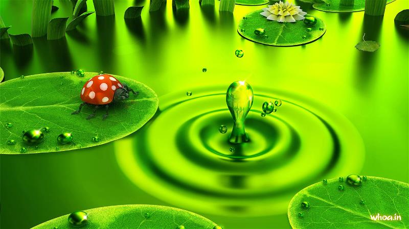 Green Water 3D Hd ,Natural Wallpaper For Your Computer Desktop