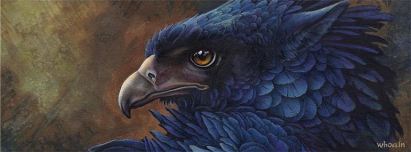Eagle Animal Art Facebook Cover #1
