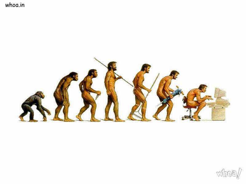 Evolution Of Humans Body And Mind
