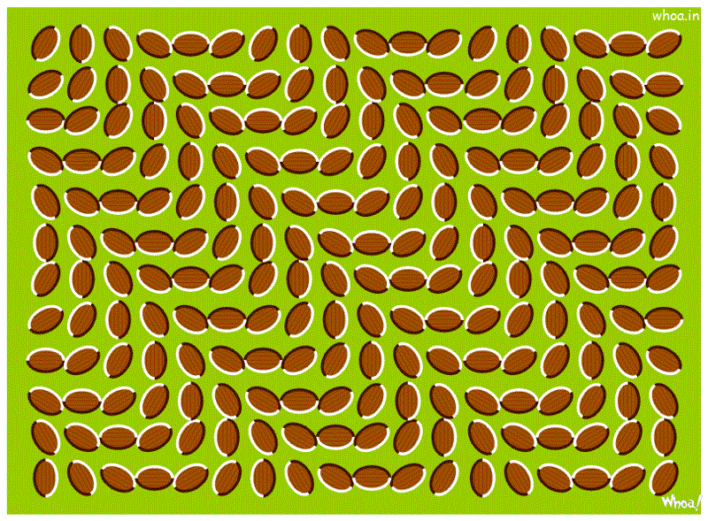 Optical Illusions #36, Optical Illusions Wallpaper For Facebook Free