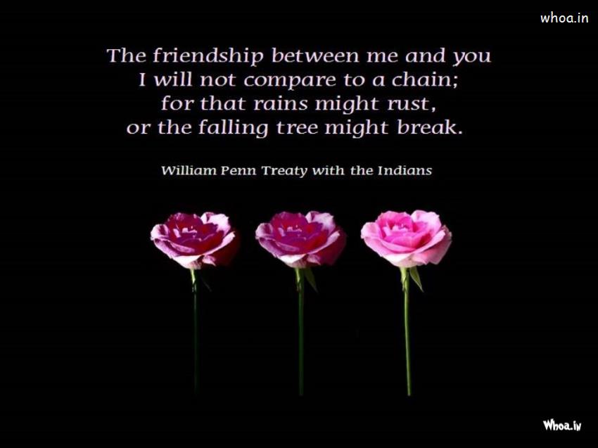 Friendship Day Quote With Dark Background And Pink Flowres Wallpaper