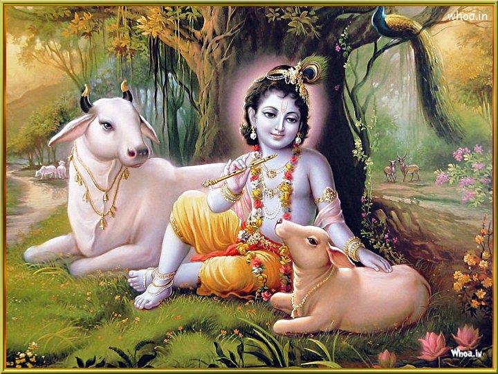 Lord Krishna In A Forest With Cow Natural Image