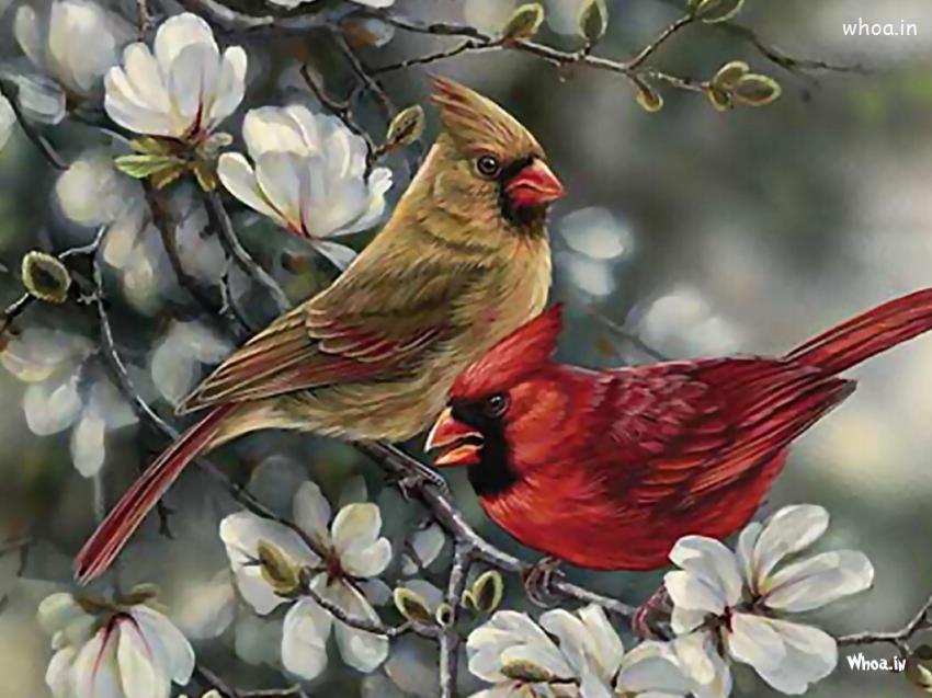 Nightingale Hand Painting Hd Wallpaper