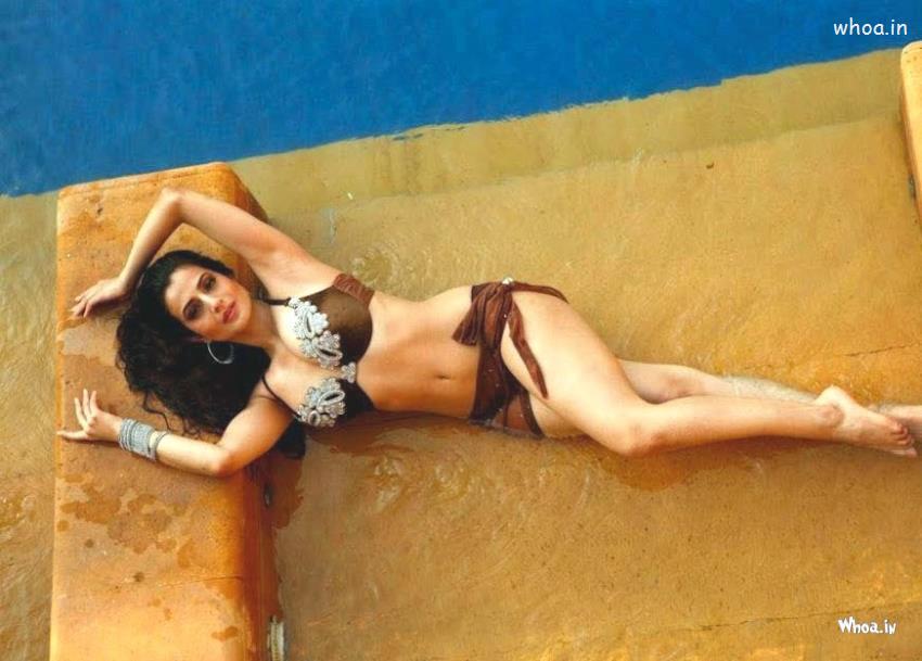 Amisha Patel In Bikini Hot Wallpapers