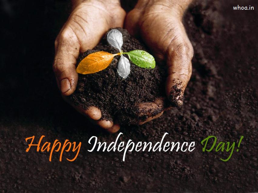 Happy Independence Day Plant Wallpaper