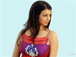Ayesha Takia Hot Photos And Images Collection