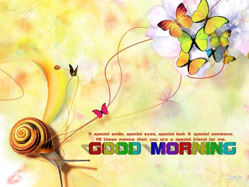 Colorful Good Morning Quotes With Colorful Butterfly