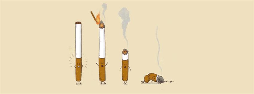Funny Cigar Facebook Cover