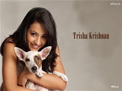 trisha krishnan playing with dogy