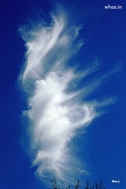 white clouds in blue sky image