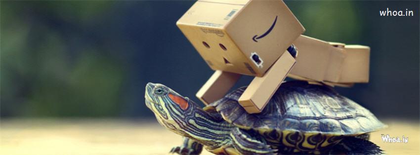 Danbo Robot Sitting On A Tortoise Funny Fb Cover