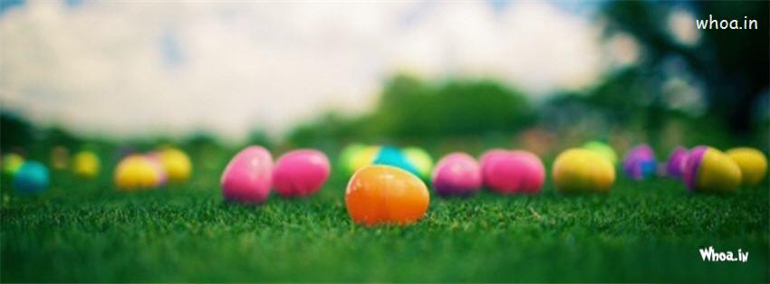 Easter Egg On A Loan Grass Fb Cover